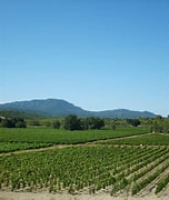 domaine de colondres