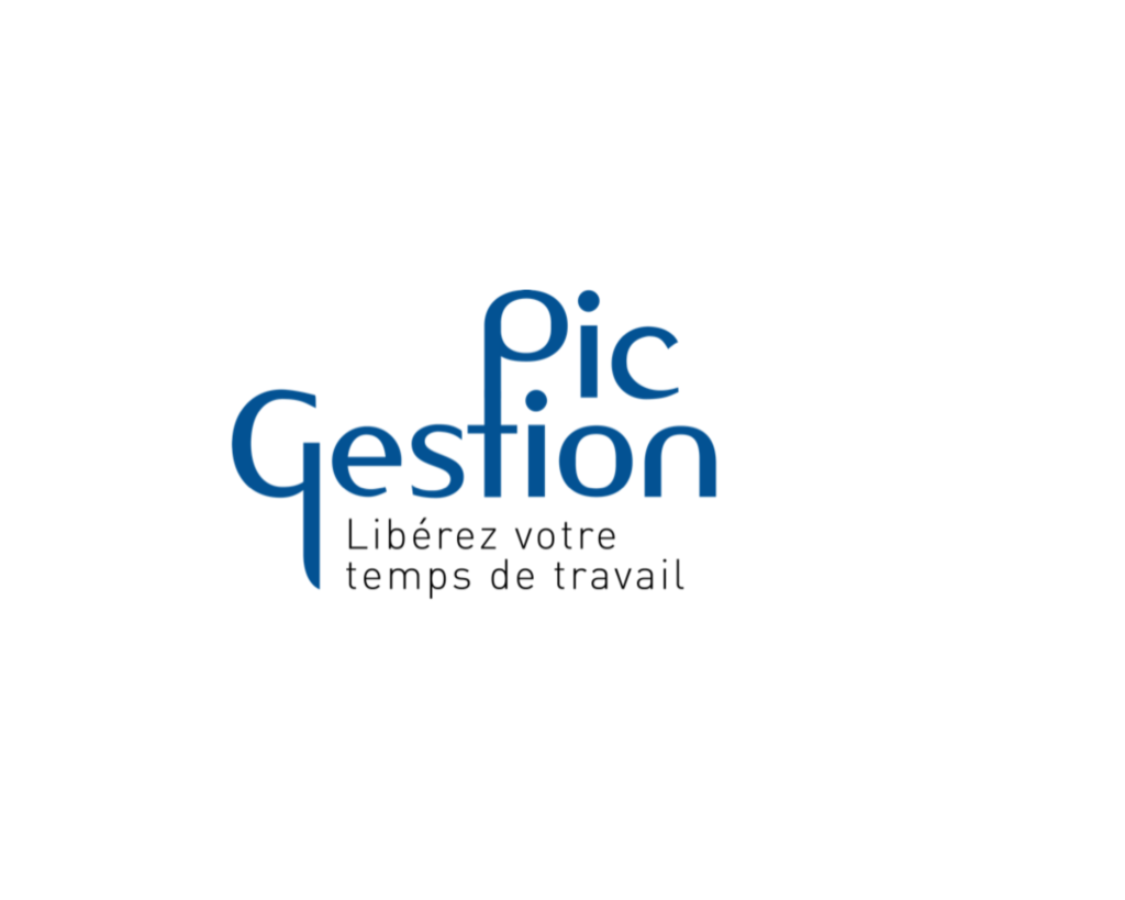 Logo Pic Gestion