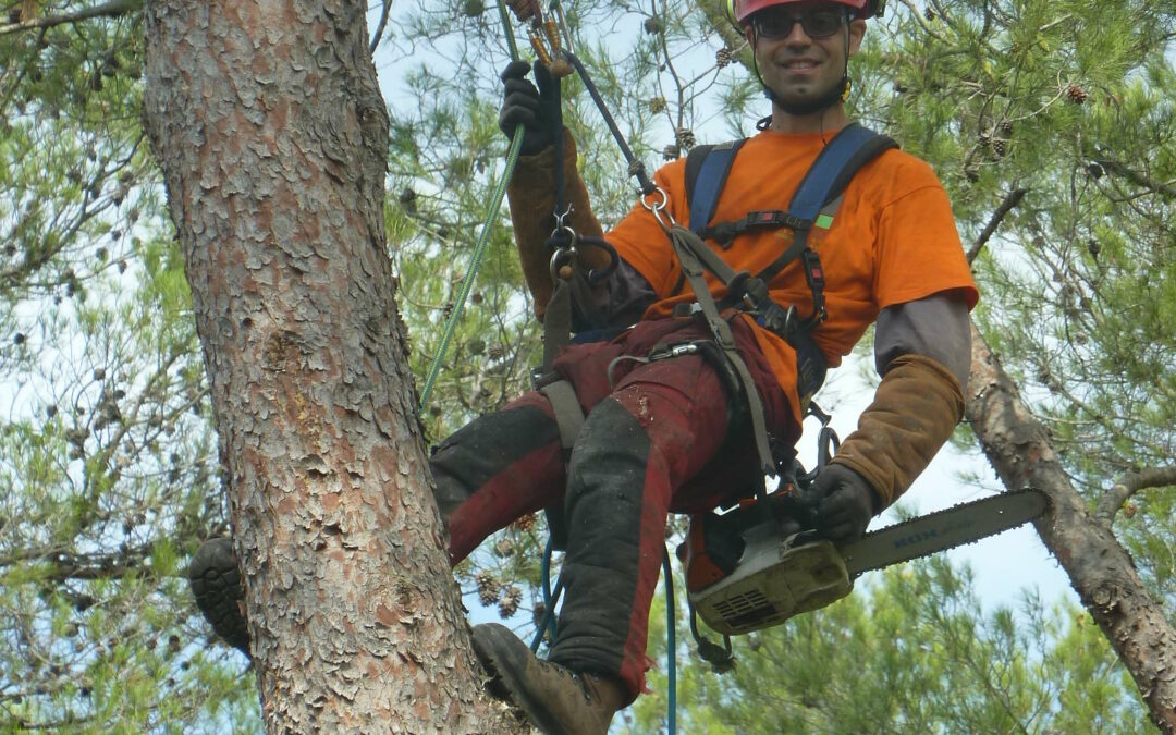 MAJURO ESPACES VERTS