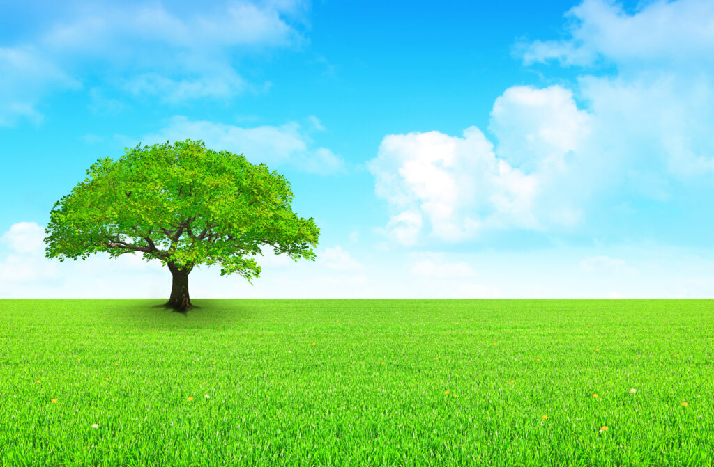Fotolia_3133441_XL