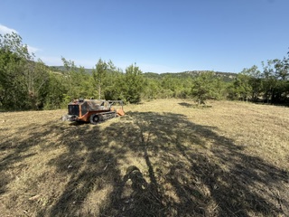 IMG_0483-1