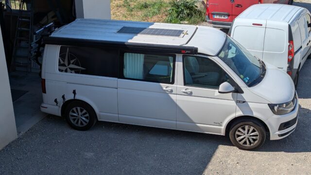 PXL_20250619_082512428-1